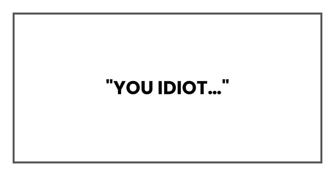 "You idiot…" "You idiot…"