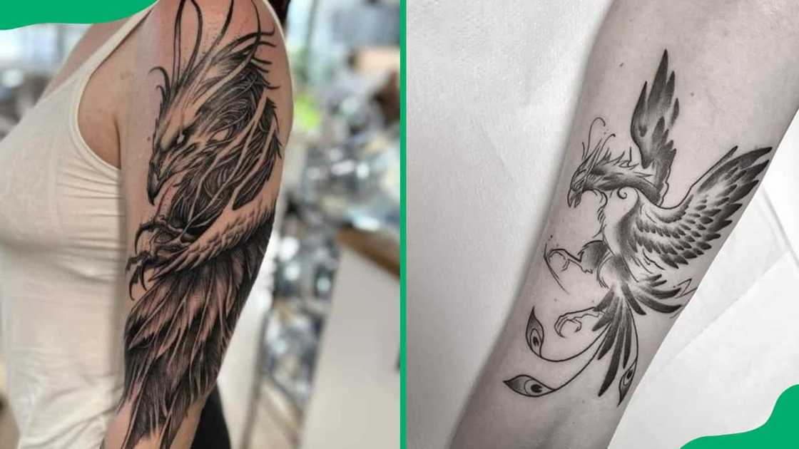 Black and grey phoenix tattoo Black and grey phoenix tattoo