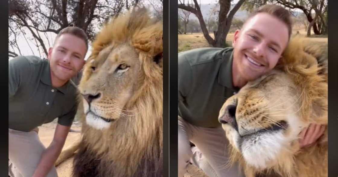 Man with lion best friend