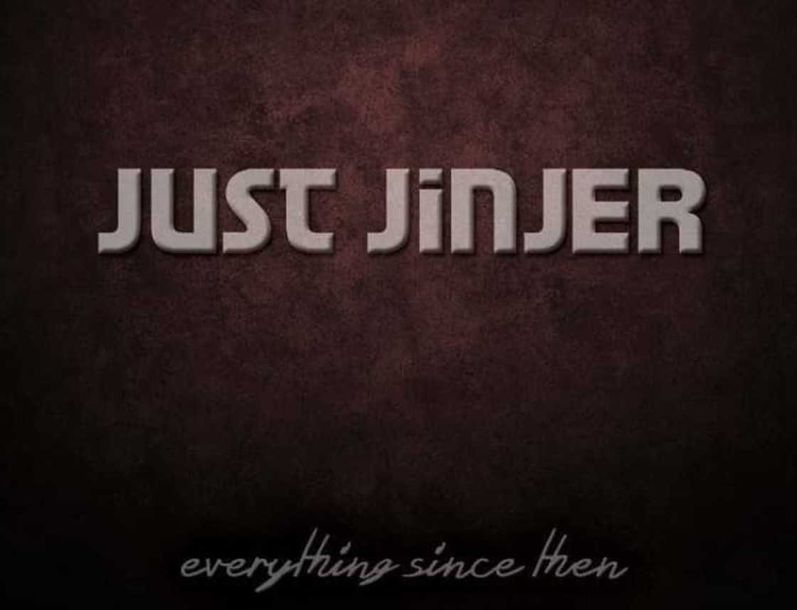 Just Jinjer albums