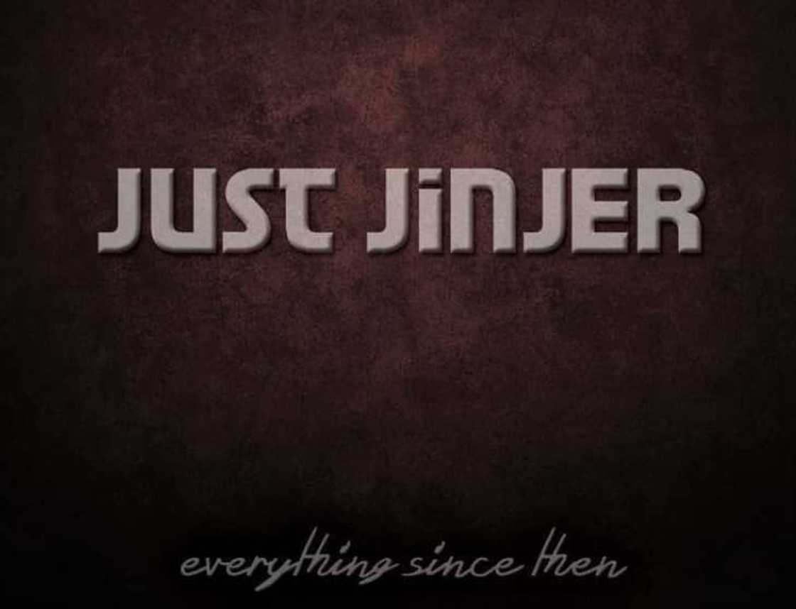 Just Jinjer albums Just Jinjer albums