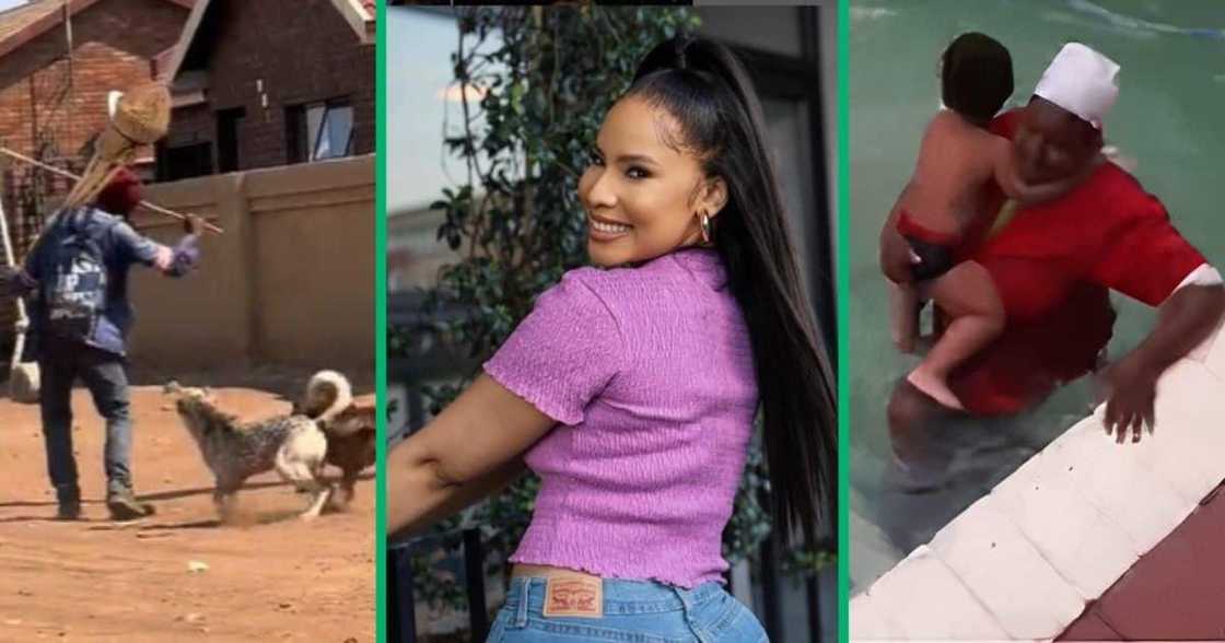 TikTok videos of hero domestic workler and vendor, Thuli Phongolo