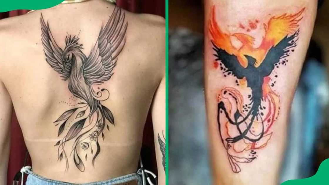 Unique phoenix tattoos Unique phoenix tattoos