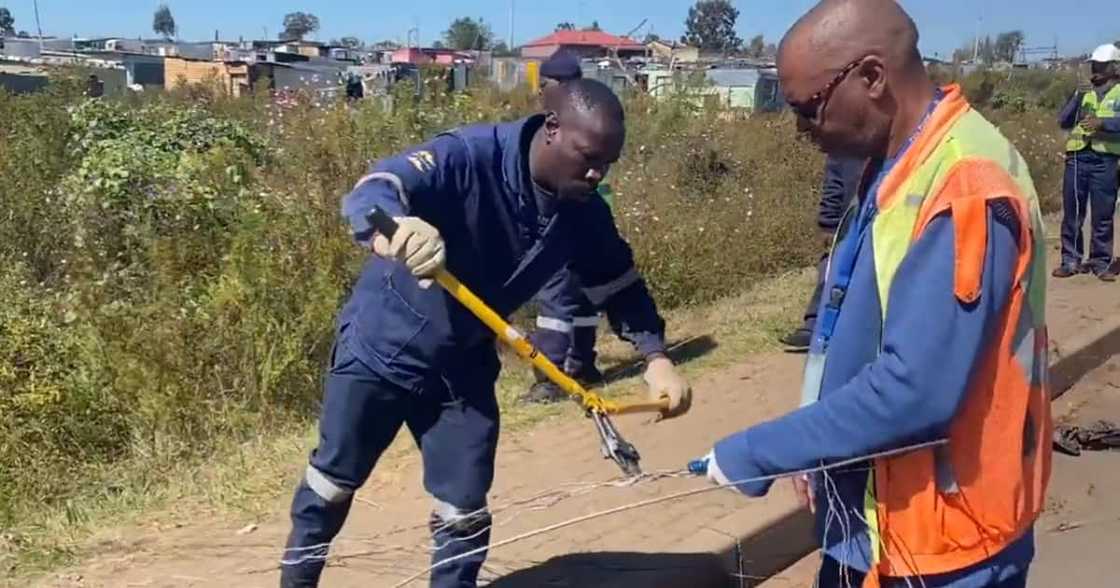 Eskom, City Power, shut down illegal connections, Kliptown, Chicken farm Eskom, City Power, shut down illegal connections, Kliptown, Chicken farm