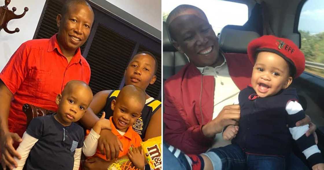 Julius Malema Julius Malema