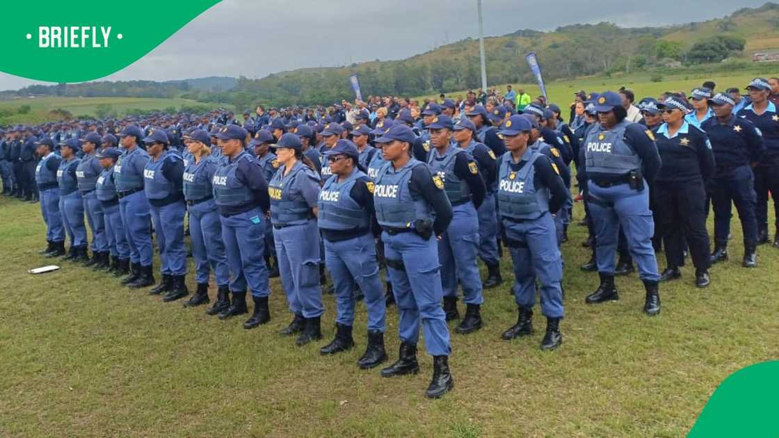 The South African Police Service raided 26 properties linked to tender corruption in Cape Town
