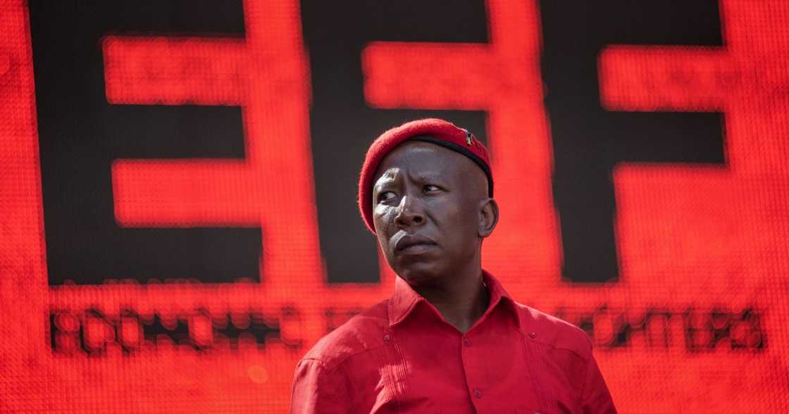 Julius Malema, EFF, John Steenhuisen, Democratic Alliance, incite violence Julius Malema, EFF, John Steenhuisen, Democratic Alliance, incite violence