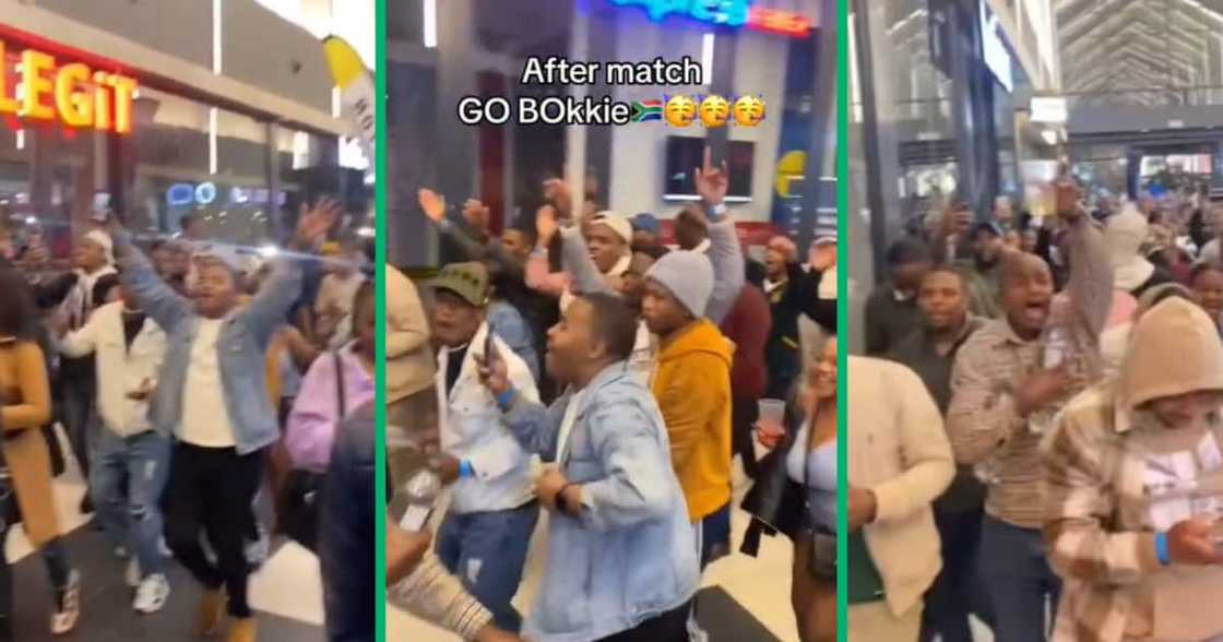 Springbok, Rugby World Cup, South African, TikTok video, Mzansi Springbok, Rugby World Cup, South African, TikTok video, Mzansi
