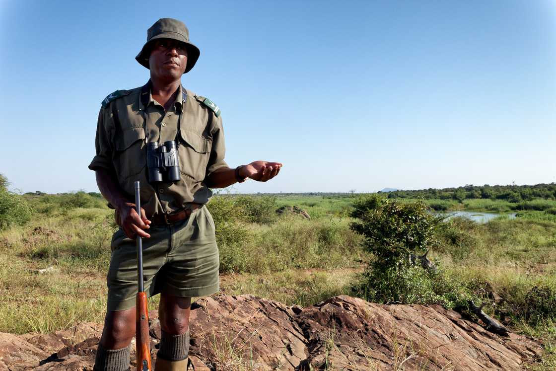 Rangers spotted a group of suspected poachers at the Kruger National Park and shot two of them Rangers spotted a group of suspected poachers at the Kruger National Park and shot two of them