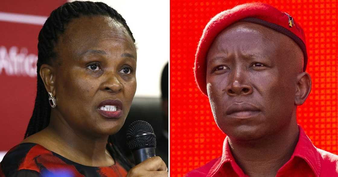Julius Malema and EFF plan to back Busisiwe Mkhwebane during her impeachment Julius Malema and EFF plan to back Busisiwe Mkhwebane during her impeachment