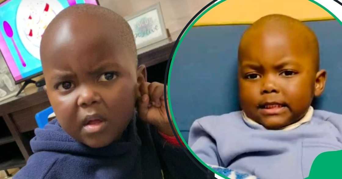 SA floored by curious boy SA floored by curious boy