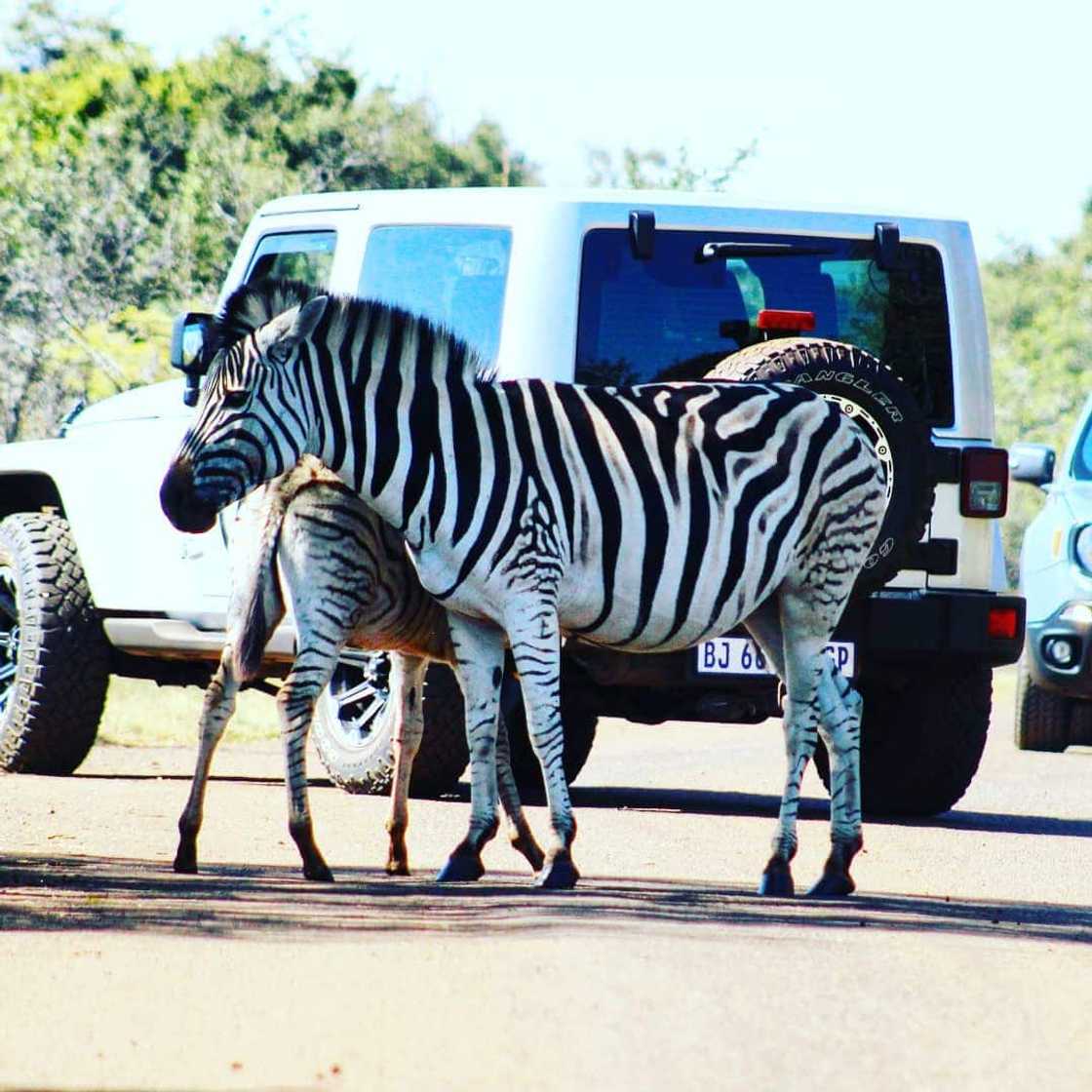 15 amazing things to do in for under R200 15 amazing things to do in for under R200