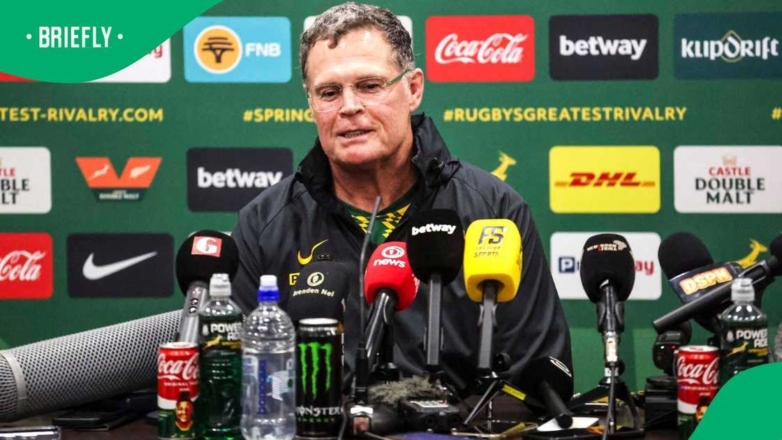 Rassie Erasmus provides injury update