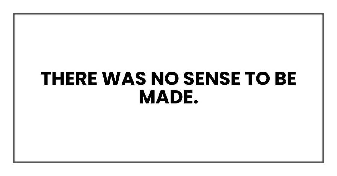 there was no sense to be made. there was no sense to be made.