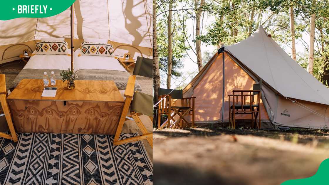 Glamping at Habitat Festival