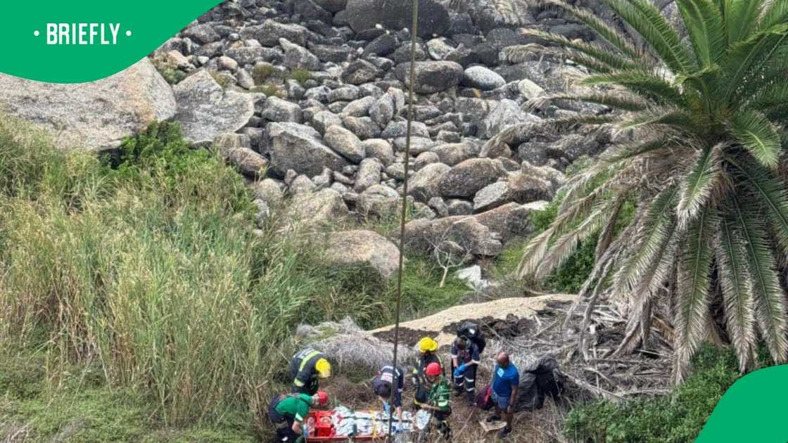 Rescuers used a crane to rescue one of the pedestrians injured in the Bantry Bay accident Rescuers used a crane to rescue one of the pedestrians injured in the Bantry Bay accident