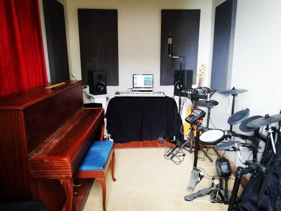 The price of brand-new drumsticks on Temu stunned Genevievie Maya The price of brand-new drumsticks on Temu stunned Genevievie Maya