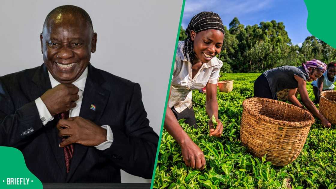 President Cyril Ramaphosa said South Africa will strengthen trade relations with African countries through trade agreements like the African Continental Free Trade Agreement President Cyril Ramaphosa said South Africa will strengthen trade relations with African countries through trade agreements like the African Continental Free Trade Agreement
