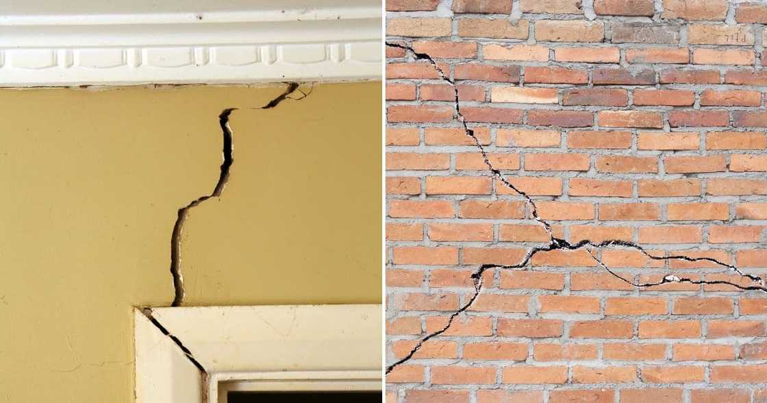 Gauteng shook by a tremor Gauteng shook by a tremor