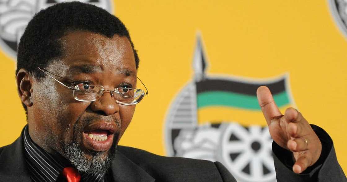 Minister, Gwede Mantashe, birthday, tiger, energy, ANC, family Minister, Gwede Mantashe, birthday, tiger, energy, ANC, family
