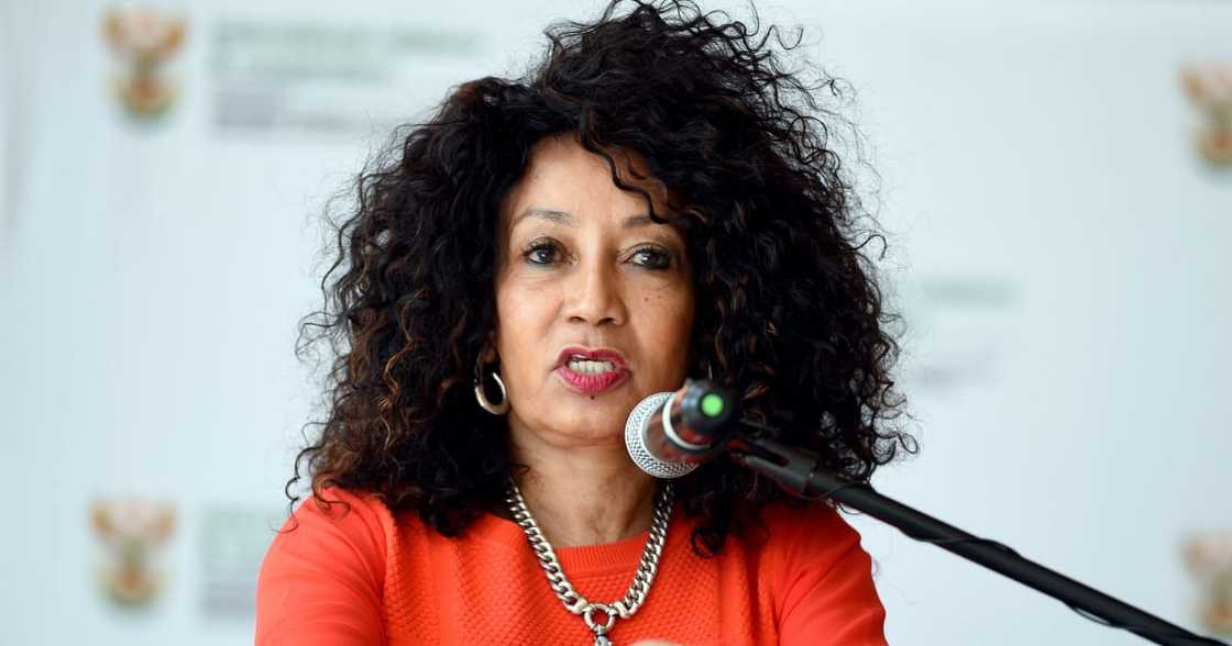 Minister Lindiwe Sisulu Denies Plagiarising in Her Latest Open Letter, Words Similar UK Minister's Speech Minister Lindiwe Sisulu Denies Plagiarising in Her Latest Open Letter, Words Similar UK Minister's Speech