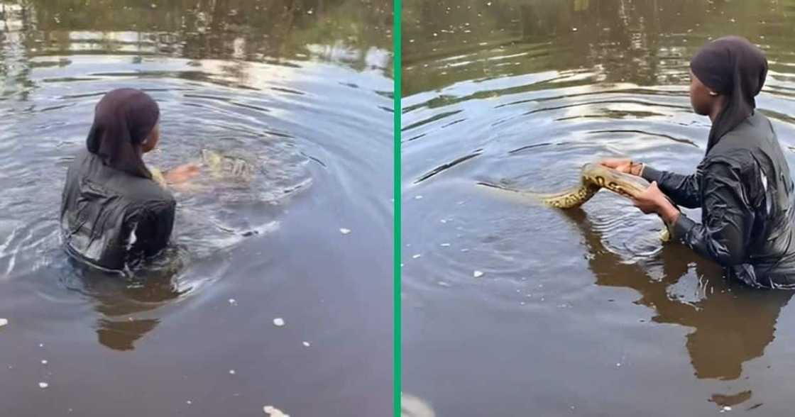 TikTok video shows woman holding python in water TikTok video shows woman holding python in water