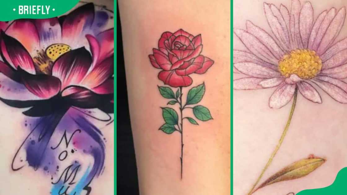 Lotus (L), Rose (C) and Daisy (R) tattoos Lotus (L), Rose (C) and Daisy (R) tattoos