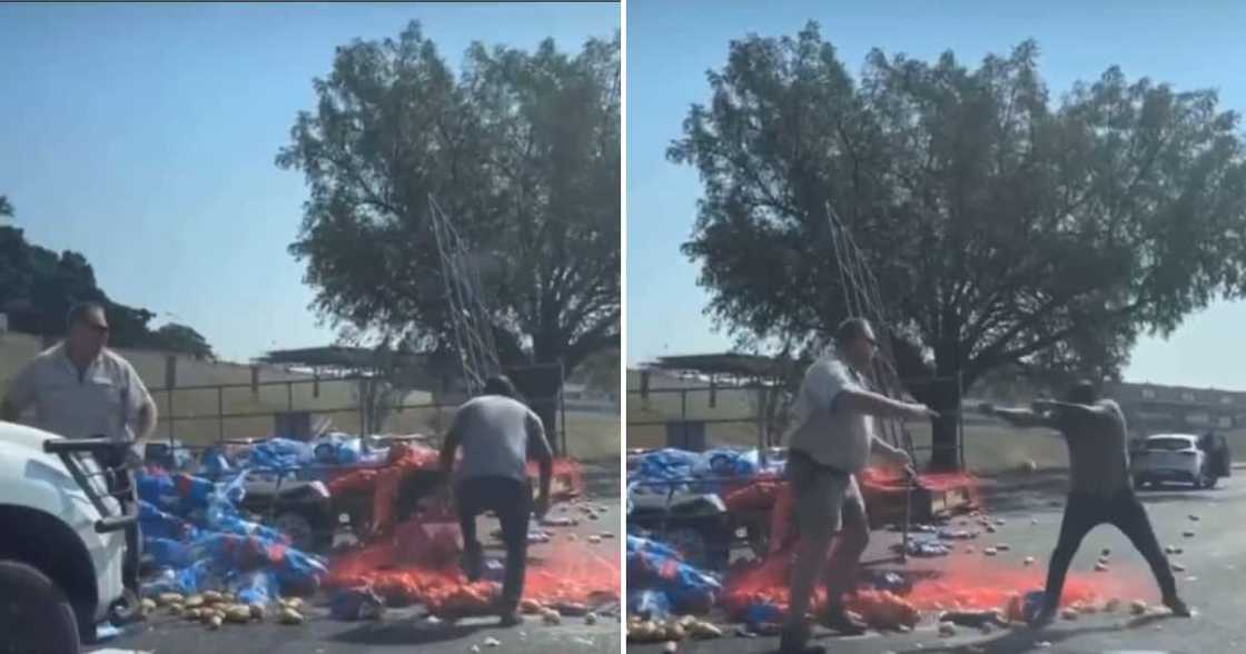 Potato farmer and looter square off after truck spills load of potatoes Potato farmer and looter square off after truck spills load of potatoes