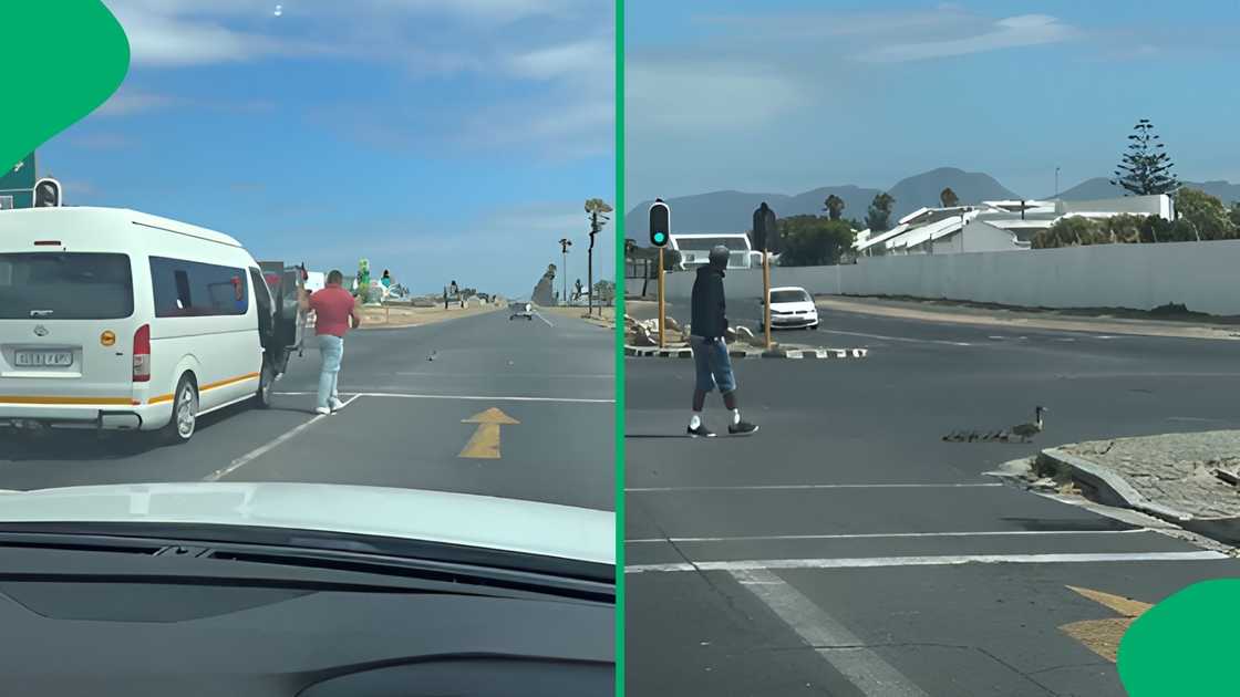 The driver and his conductor stepped out of the car at the traffic intersection to direct them