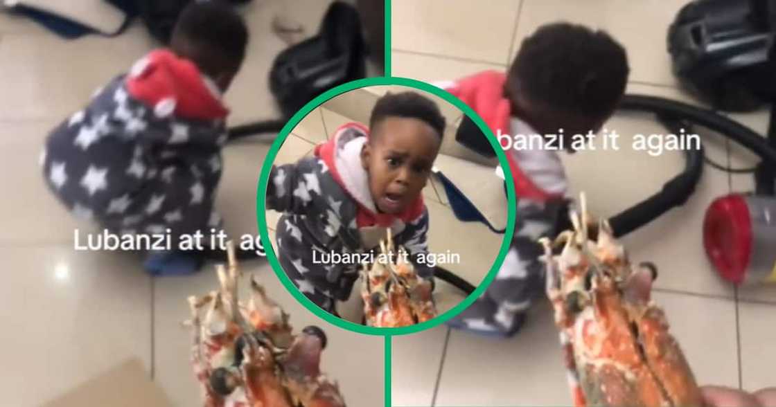 Little boy's reaction to crayfish, TikTok vidoe