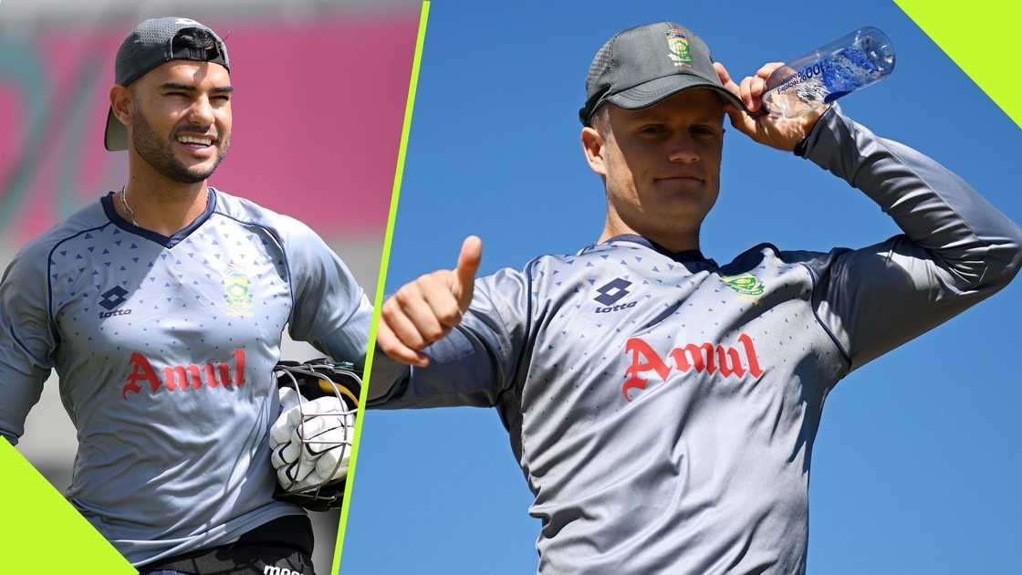 Reeza Hendricks and Ryan Rickleton starred for the Proteas. Reeza Hendricks and Ryan Rickleton starred for the Proteas.