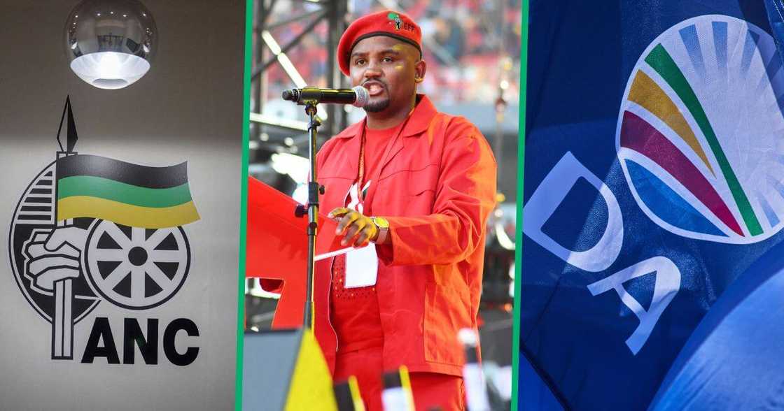 EFF MMC of Finance fired in Ekhuruleni: Mzansi blames DA EFF MMC of Finance fired in Ekhuruleni: Mzansi blames DA