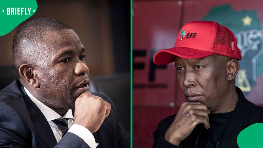 Julius Malema questioned Nhlanhla Mkhwanazi’s statement