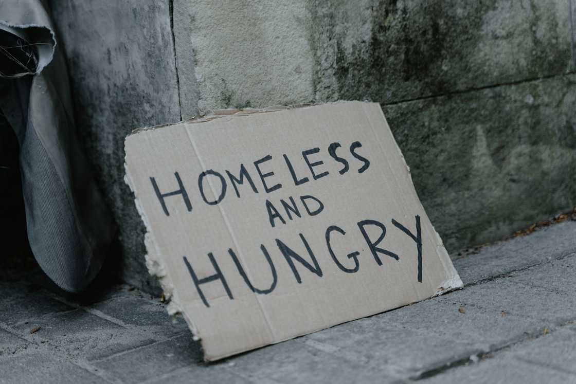South Africans admire woman standing up for homeless man South Africans admire woman standing up for homeless man