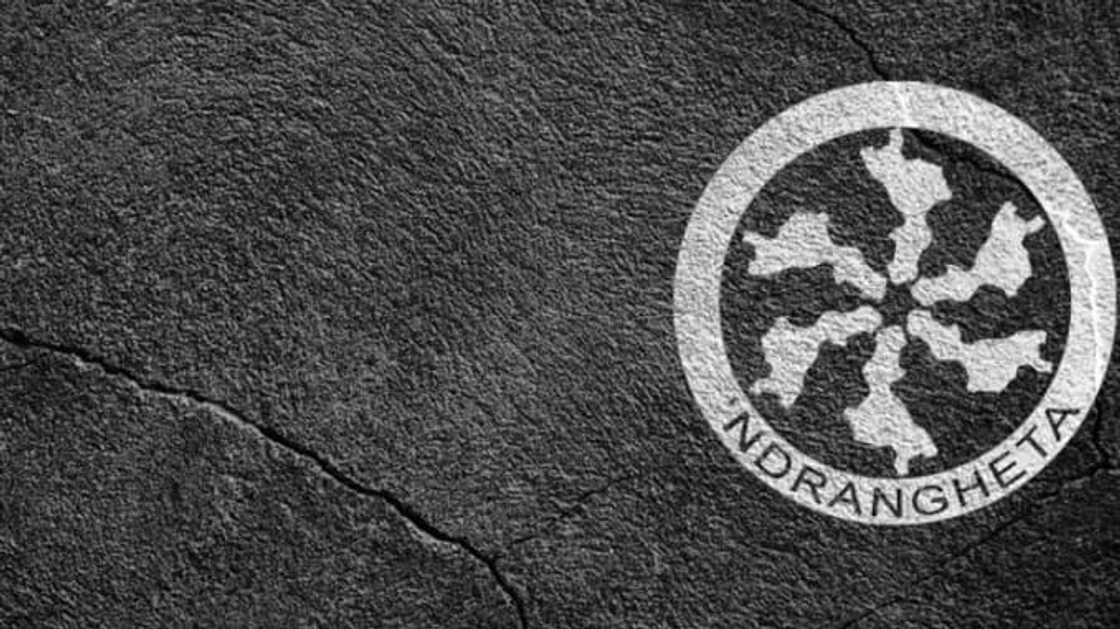 Richest crime organizations and cartels ever Richest crime organizations and cartels ever