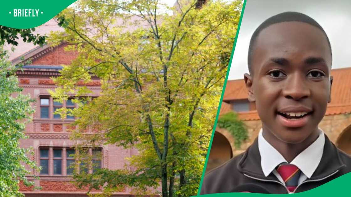 A Johannesburg learner will study at Harvard University. A Johannesburg learner will study at Harvard University.