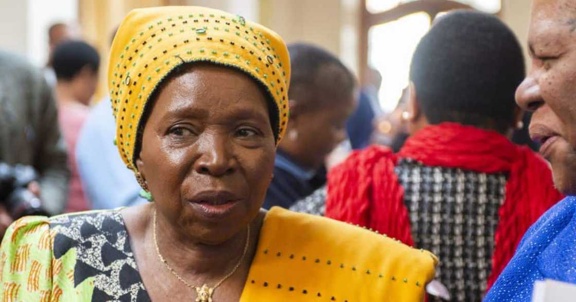 Cogta Minister Nkosazana Dlamini-Zuma Cogta Minister Nkosazana Dlamini-Zuma
