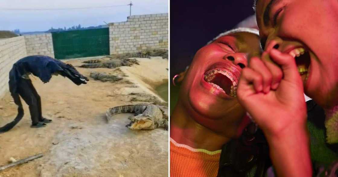 man wearing croc skin scares crocodile man wearing croc skin scares crocodile