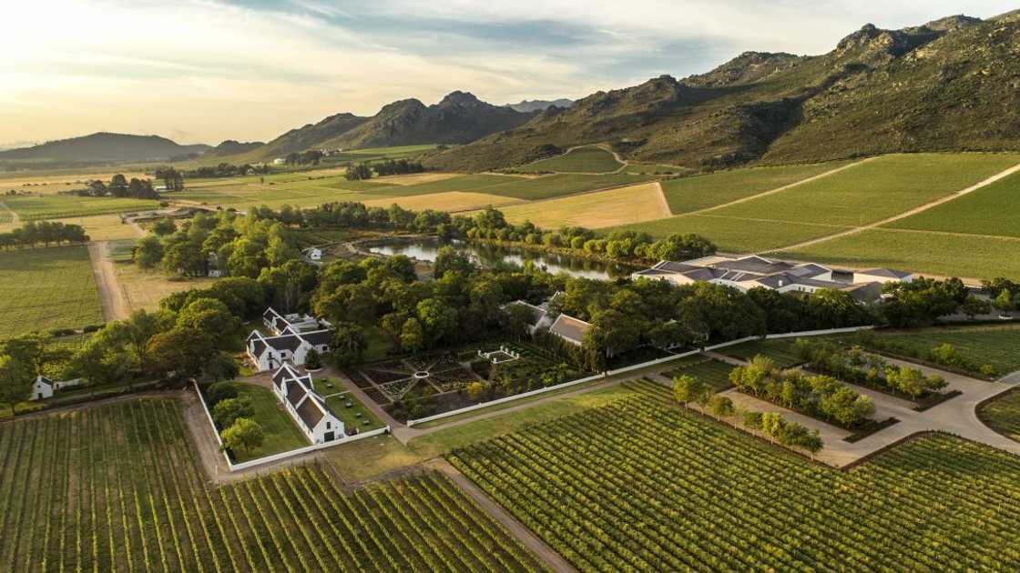 Award-winning wines crafted in historic elegance Award-winning wines crafted in historic elegance