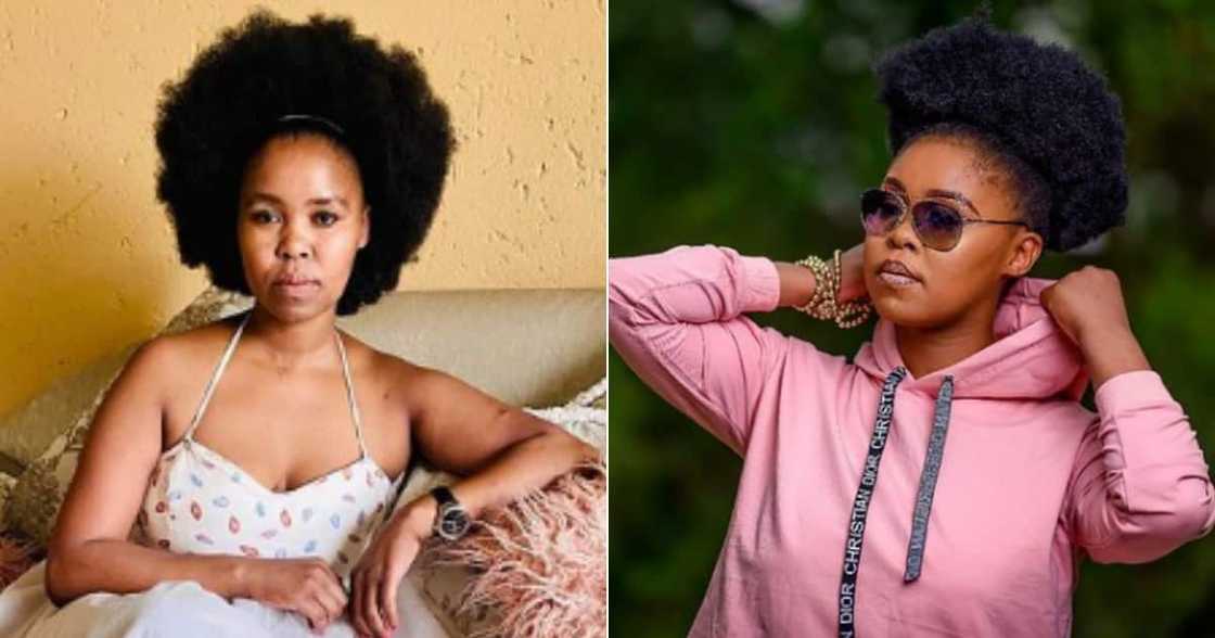 Zahara, Tax, Lagging, Jail, Court, Warrant, Arrest Zahara, Tax, Lagging, Jail, Court, Warrant, Arrest