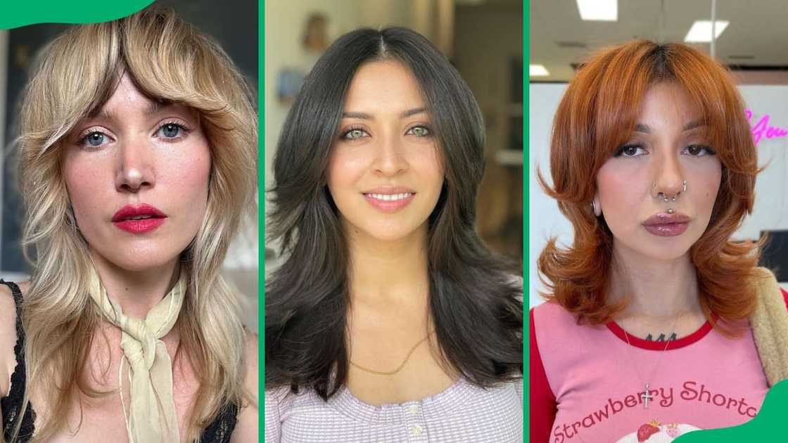 Octopus haircut Octopus haircut