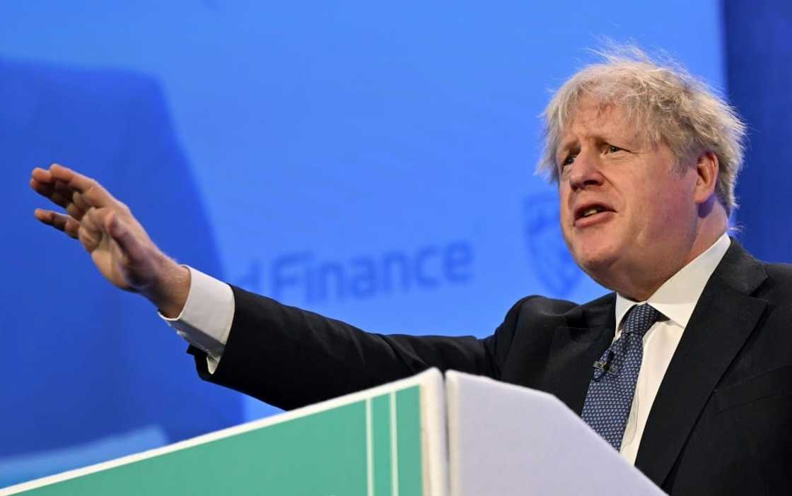'I'm going to find it very difficult to vote for something like this myself,' said Johnson 'I'm going to find it very difficult to vote for something like this myself,' said Johnson