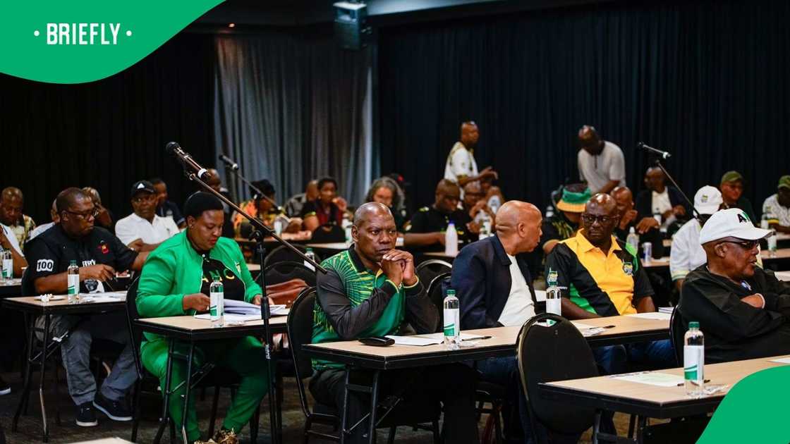 The ANC's NEC has decided not to disband the KZN and Gauteng's Provincial Executive Committee