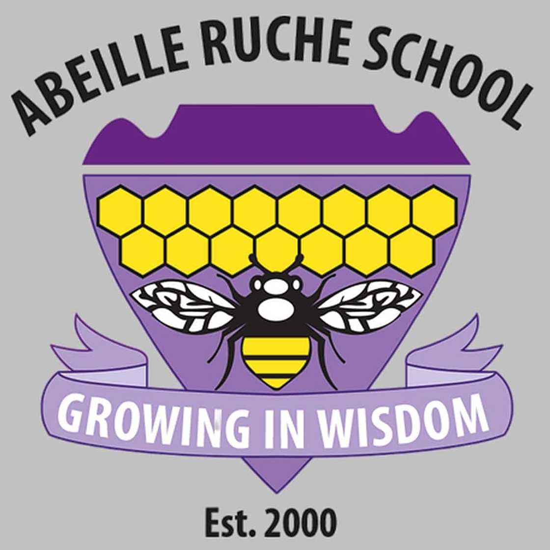 military schools for troubled youth military schools for troubled youth