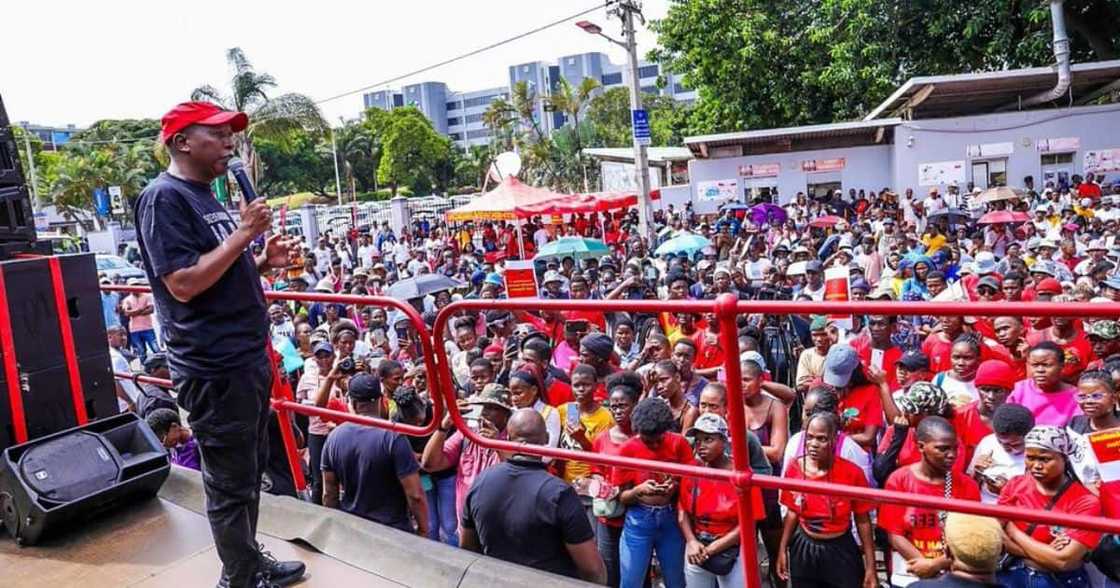 Julius Malema warned the EFF youth from committing violence Julius Malema warned the EFF youth from committing violence