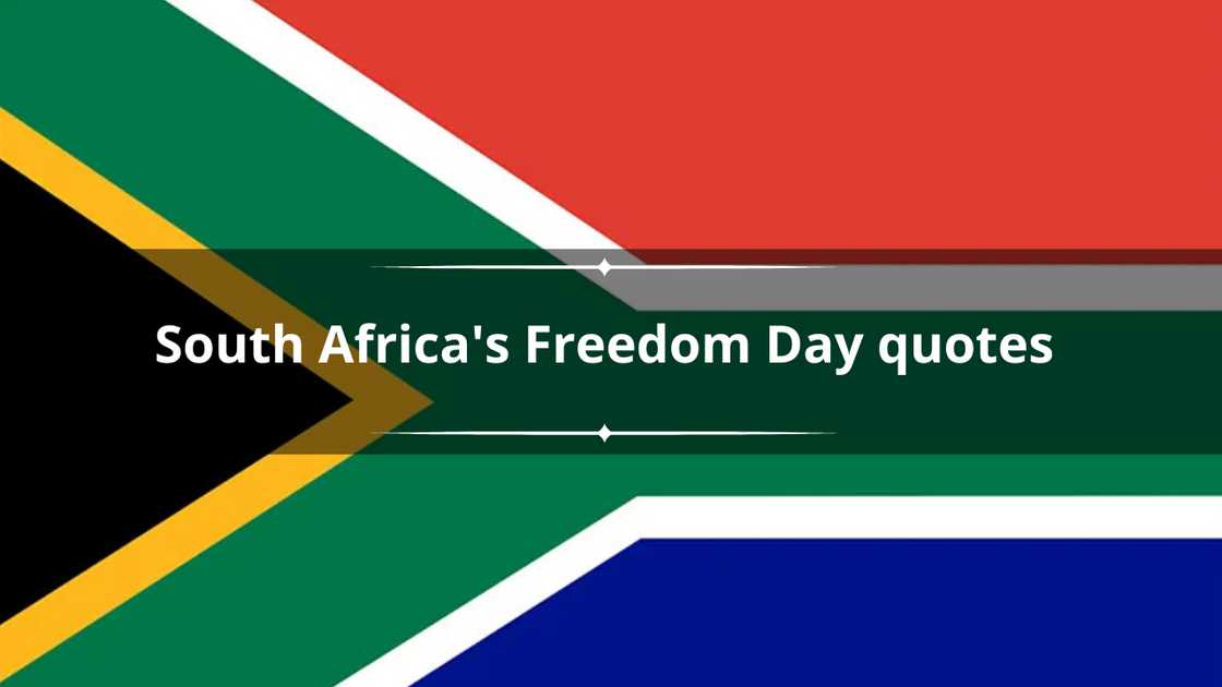 The SA flag The SA flag