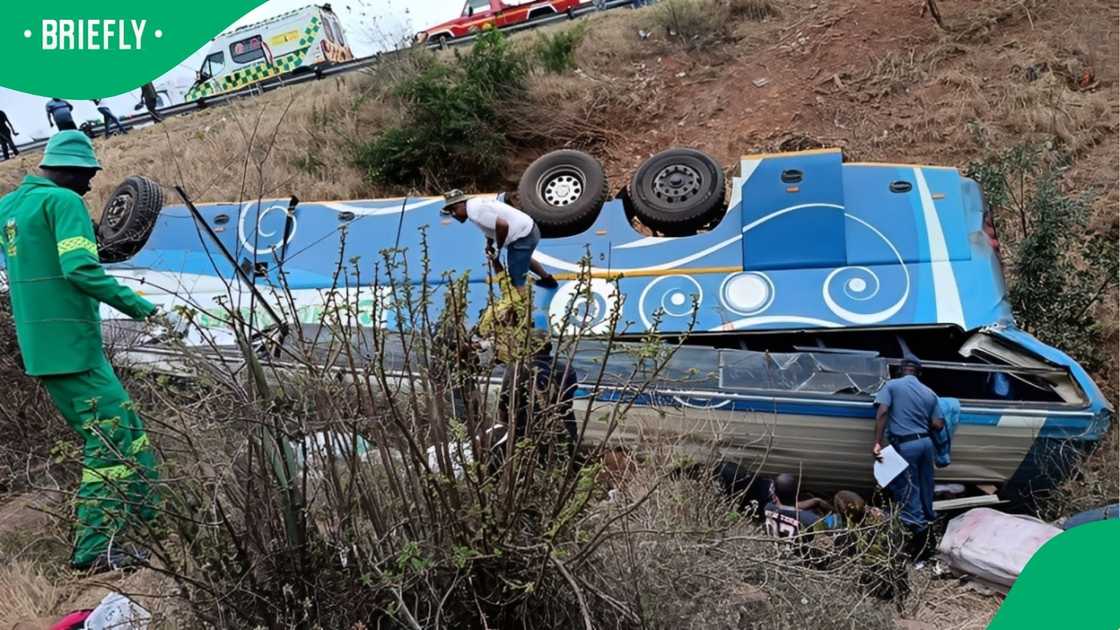 42 people have passed away after an accident in Limpopo