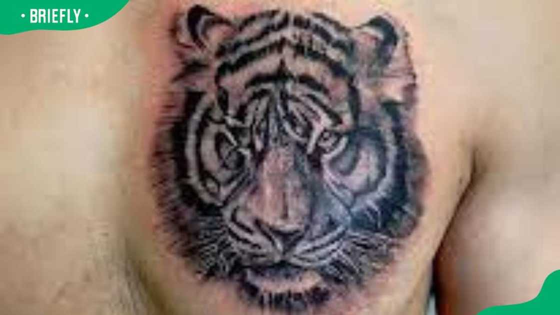 How painful is getting your chest tattooed? How painful is getting your chest tattooed?