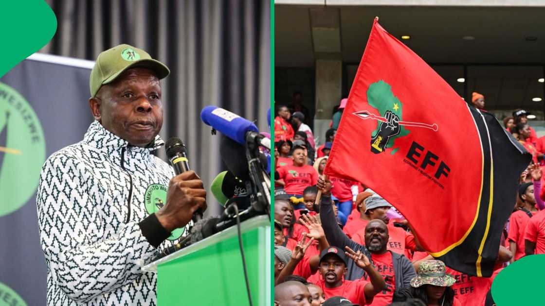 MK Party's deputy president John Hlophe and party members forced an EFF supporter to remove an EFF T-shirt and wear an MKP one MK Party's deputy president John Hlophe and party members forced an EFF supporter to remove an EFF T-shirt and wear an MKP one