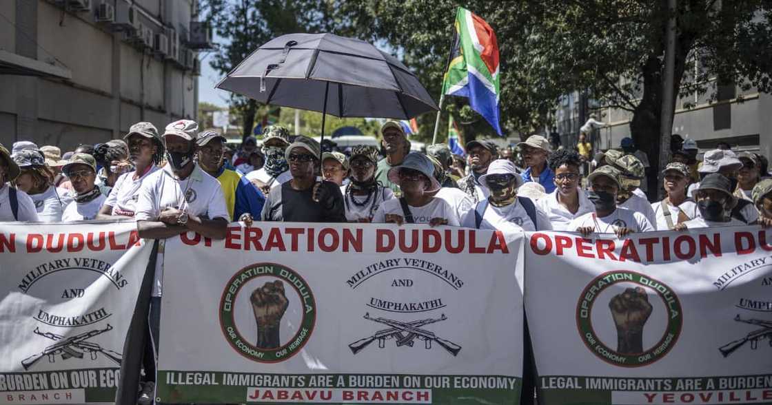 Explainer, Operation Dudula, Dudula Movement, Operation Fiela, Gauteng, Nhlanhla Lux Dlamini, EFF, President Cyril Ramaphosa, Julius Malema, IFP, DA, ACDP, KwaZulu-Natal